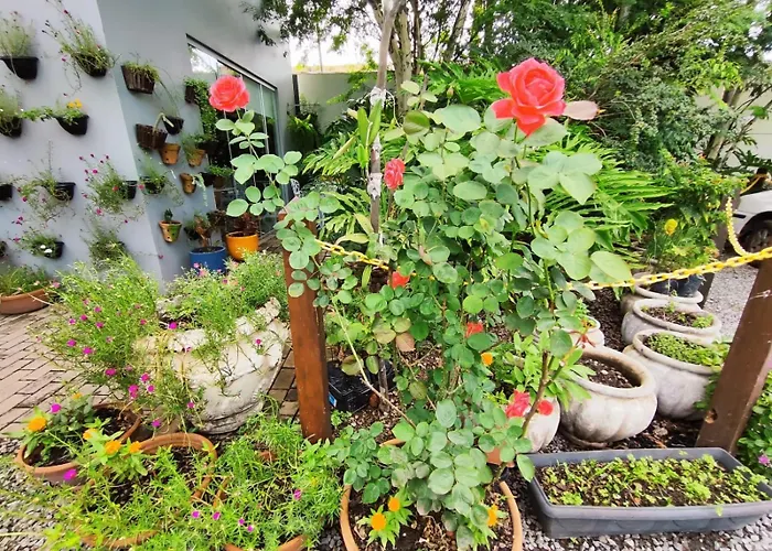 Pepita PalaceHotel Em